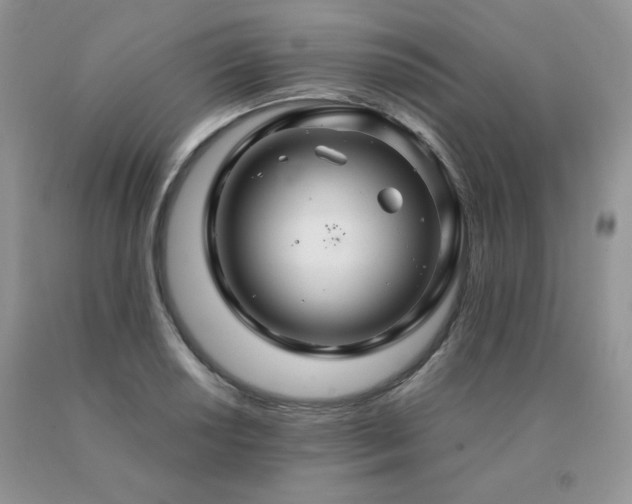 X0000091081034200708061333