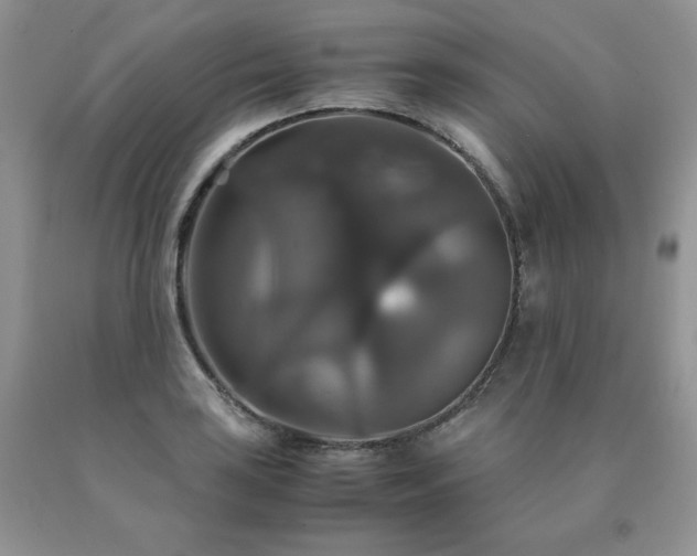 X0000091081035200708061333