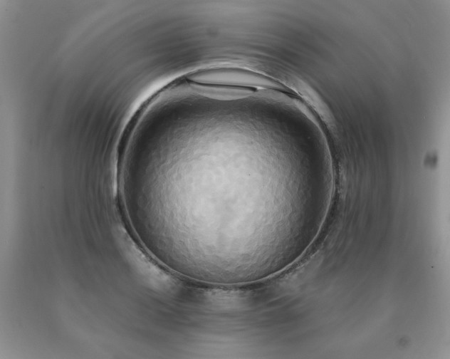 X0000091081036200708061333