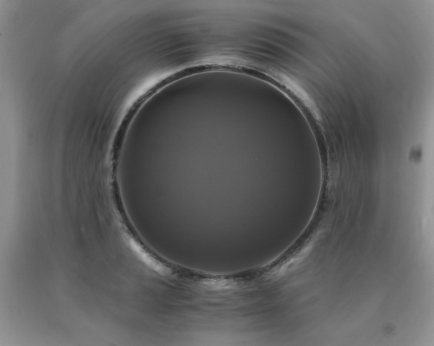 X0000091081037200708061333