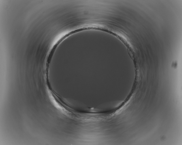 X0000091081038200708061333