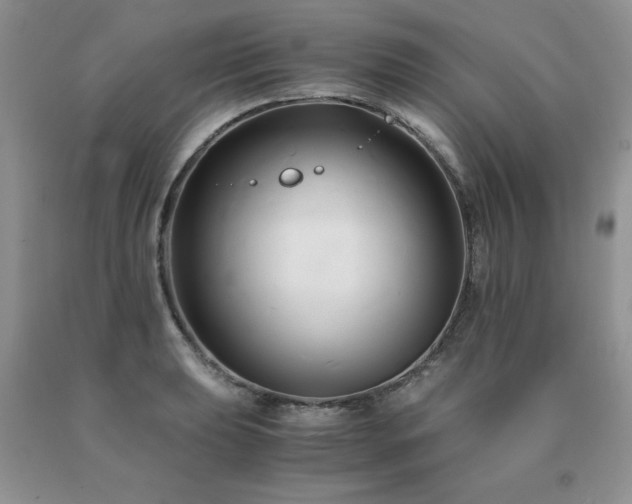 X0000091081039200708061333