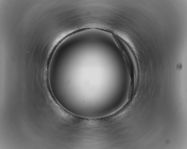 X0000091081040200708061333