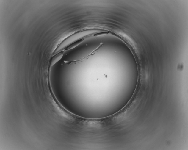 X0000091081041200708061333