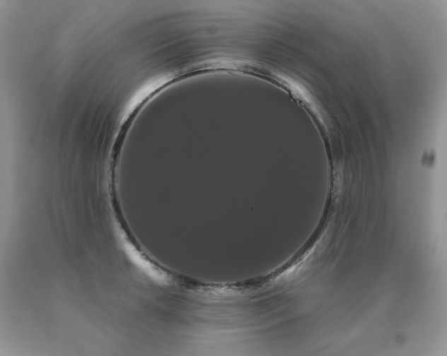 X0000091081042200708061333