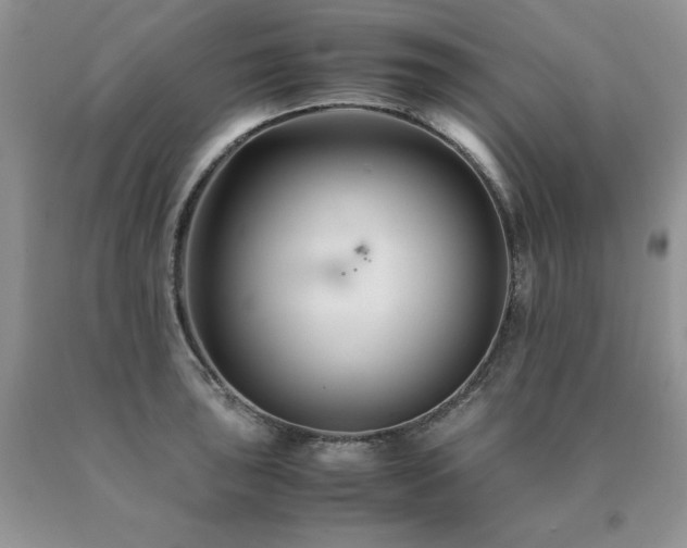 X0000091081043200708061333