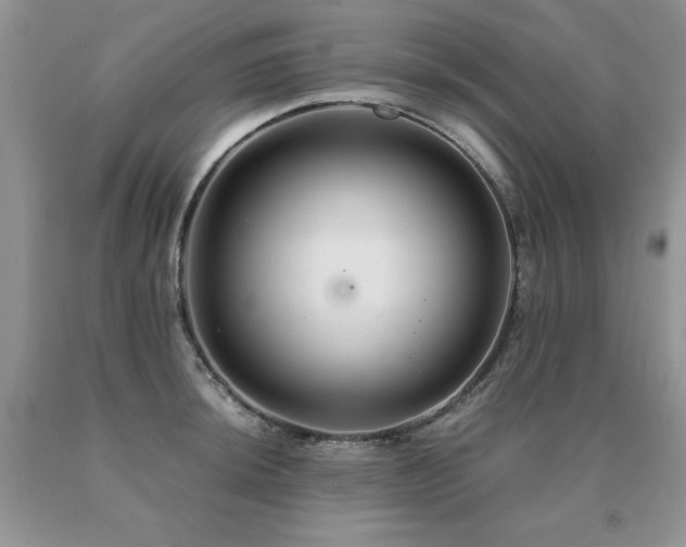 X0000091081044200708061333