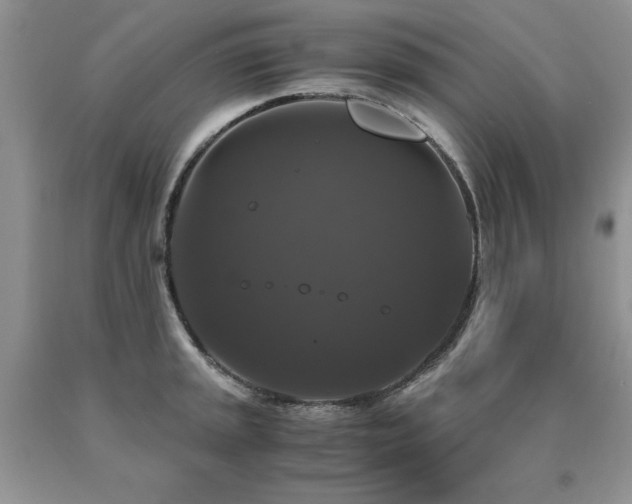 X0000091081045200708061333