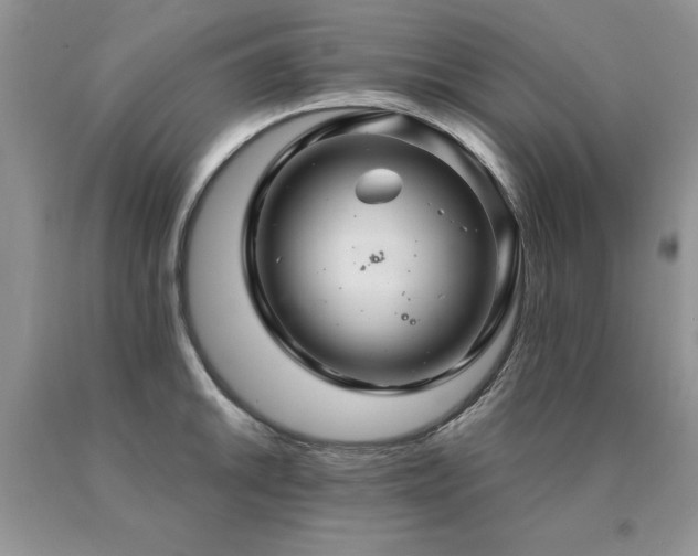 X0000091081046200708061333