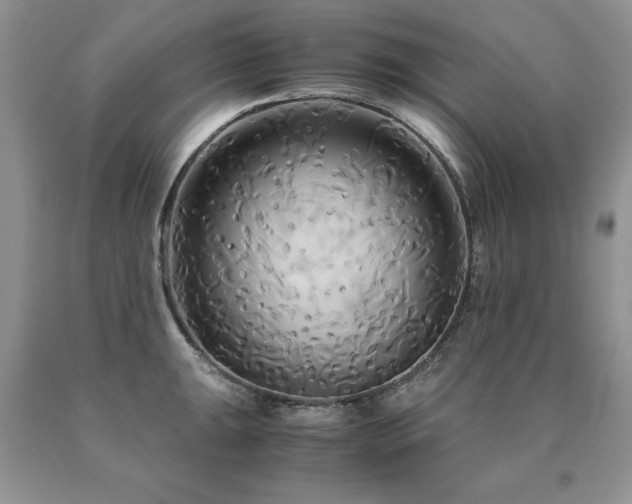 X0000091081047200708061333