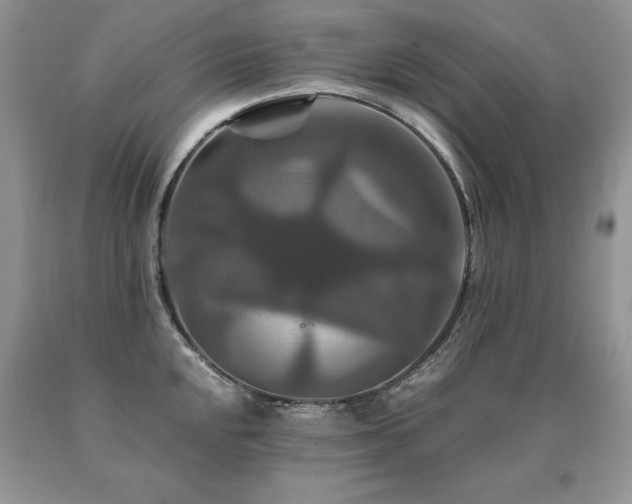 X0000091081048200708061333