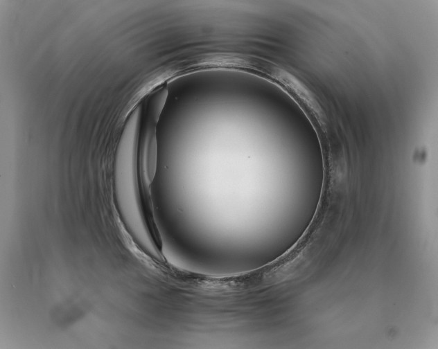 X0000091081049200708061333