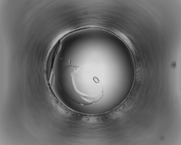 X0000091081051200708061333