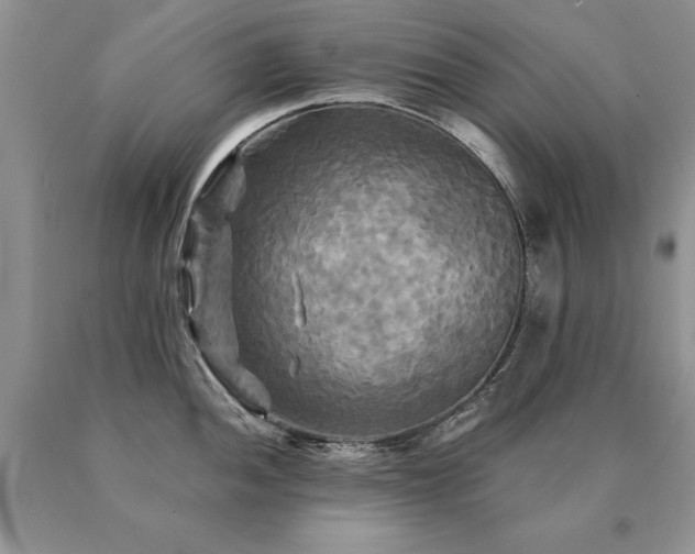 X0000091081052200708061333