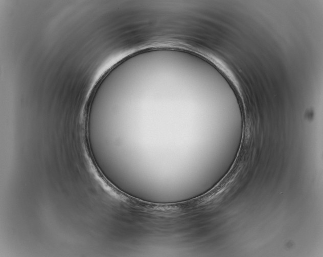 X0000091081053200708061333