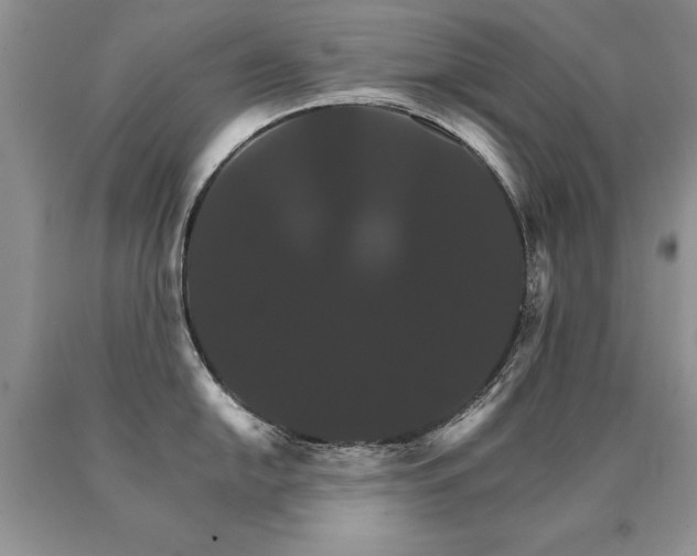 X0000091081054200708061333