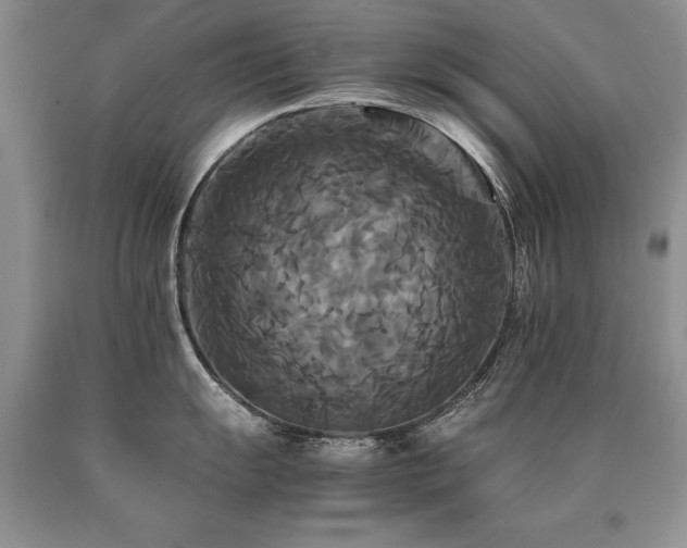 X0000091081055200708061333