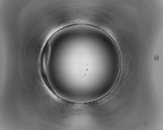 X0000091081056200708061333