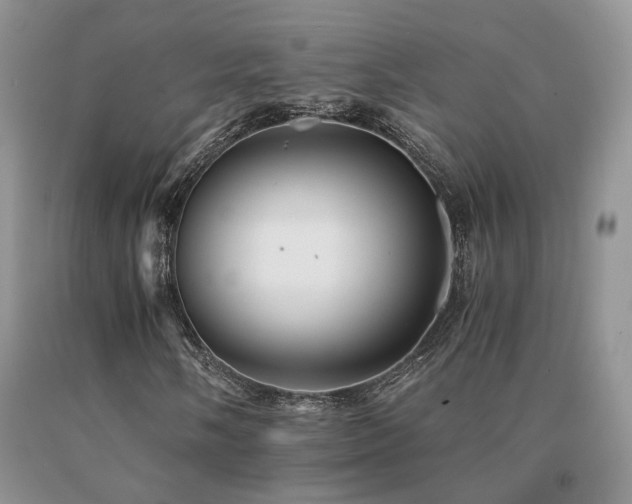 X0000091081058200708061332