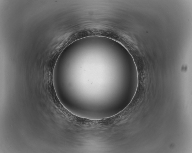 X0000091081061200708061332