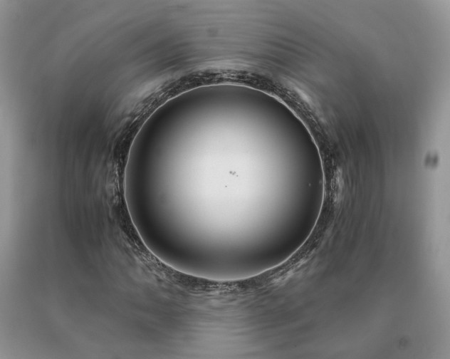 X0000091081062200708061332