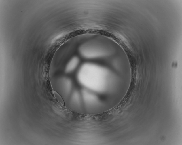 X0000091081063200708061332