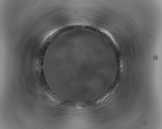 X0000091081064200708061332