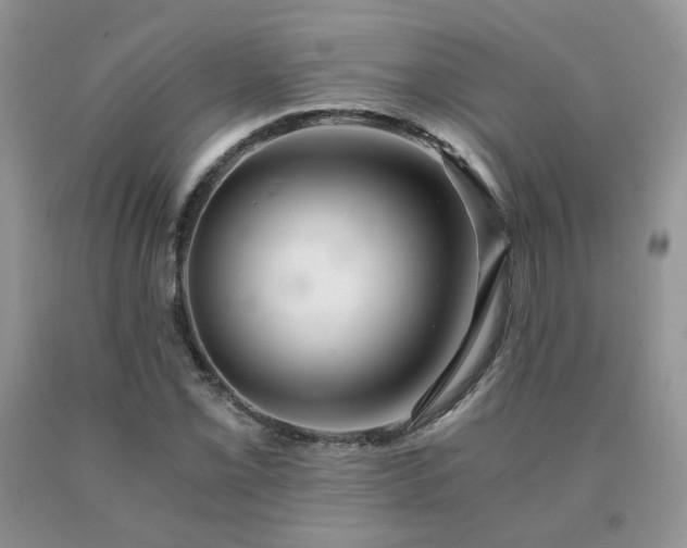 X0000091081069200708061332