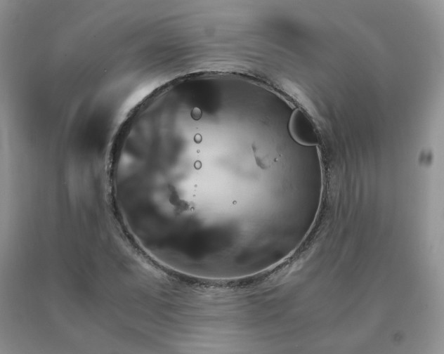 X0000091081071200708061332