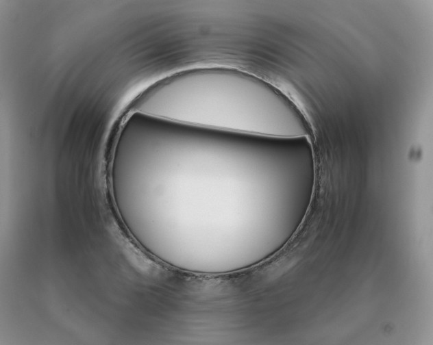X0000091081072200708061332