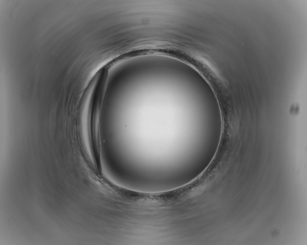 X0000091081073200708061332