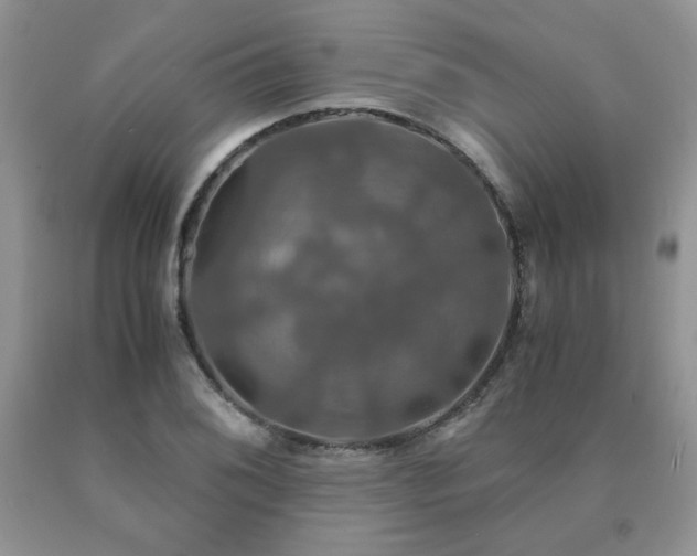 X0000091081076200708061332