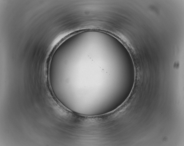 X0000091081078200708061332