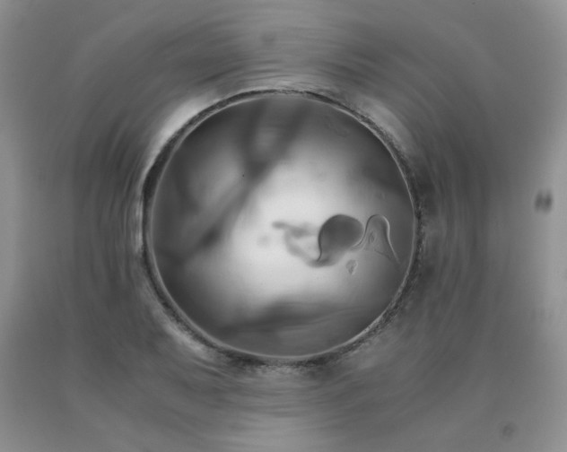 X0000091081079200708061332