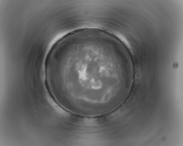 X0000091081080200708061332