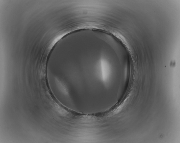 X0000091081081200708061332