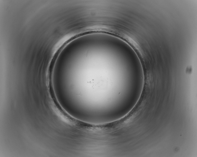 X0000091081082200708061332