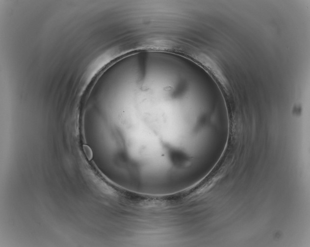 X0000091081083200708061332