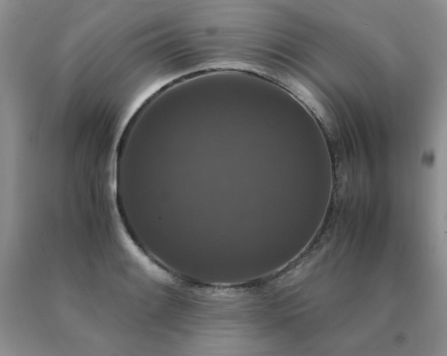 X0000091081084200708061332
