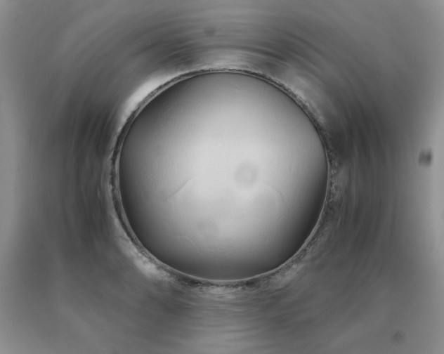 X0000091081086200708061332