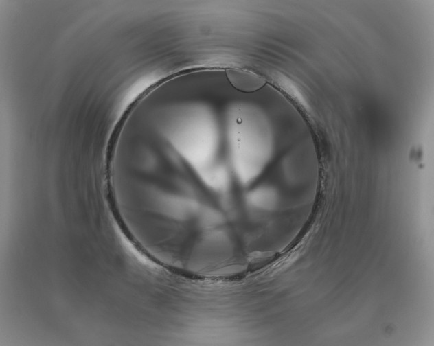 X0000091081087200708061332