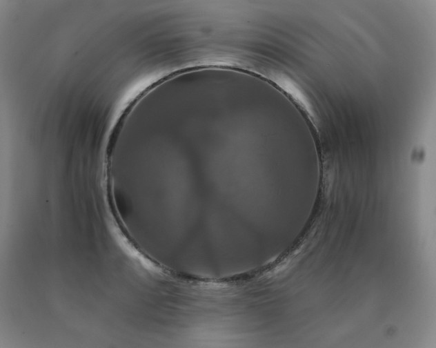 X0000091081088200708061332