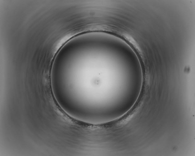 X0000091081089200708061332