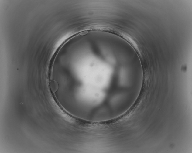 X0000091081091200708061332