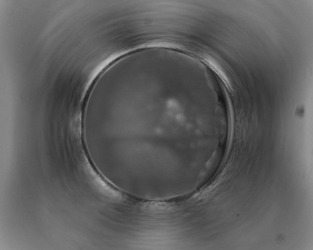 X0000091081092200708061332