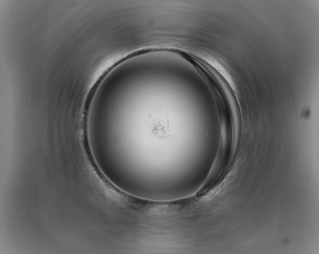 X0000091081093200708061332