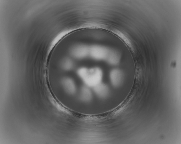 X0000091081094200708061332