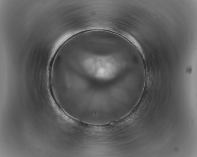 X0000091081096200708061332