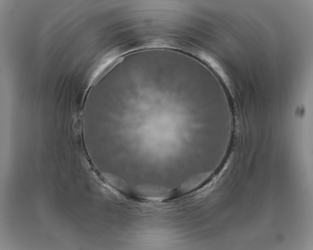 X0000091081097200708061332