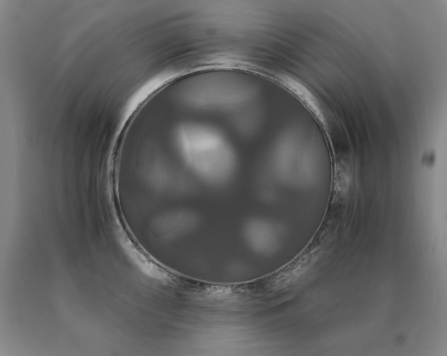 X0000091081098200708061332